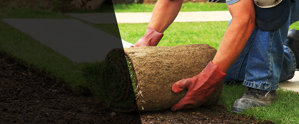 Glenwood Landscapers